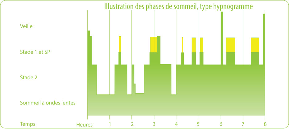 source insv