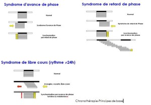 Principes de base de la chronothérapie
