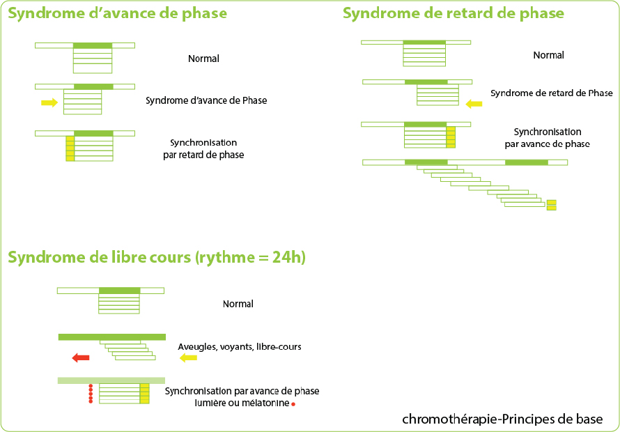 Principes de base de la chronothérapie